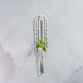 "Front view of MATTE WHITE Wall Propagation unit with a plant cutting displayed in the clear tube."
